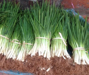 Asians really give scallions their proper respect.