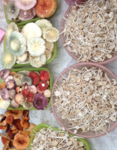 Market mushrooms. If only I had a kitchen!